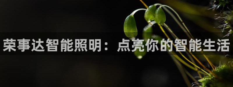云顶集团招聘