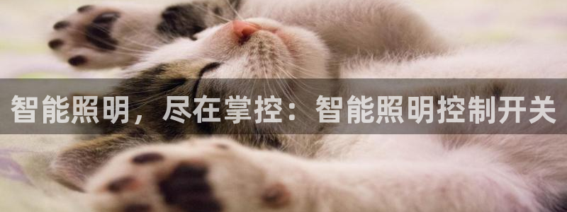 云顶国际在线登录官网