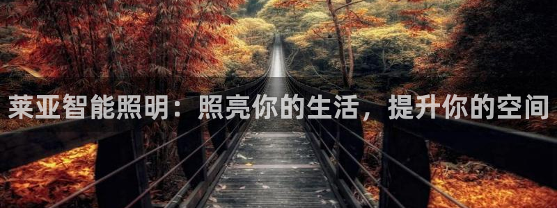 云顶国际提现多久到账啊