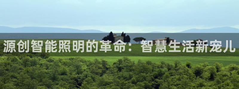 云顶国际logo