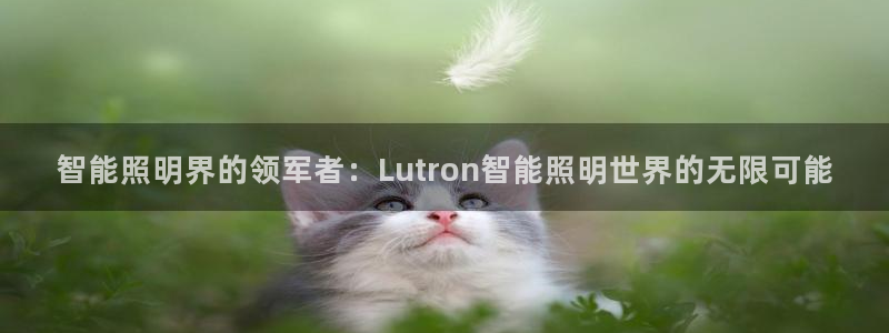 云顶国际宴会中心地址