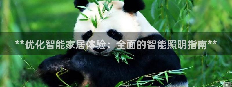 云顶国际ktv怎么样