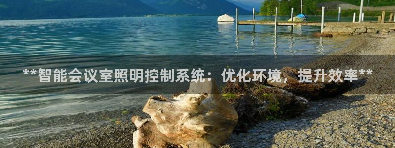 云顶集团简介