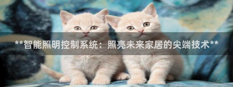 云顶国际能提现吗安卓