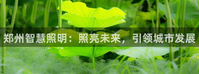 云顶国际版下载