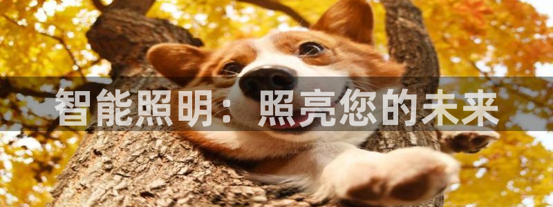 云顶com