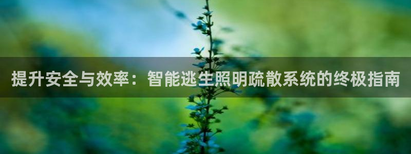 云顶国际会议中心在哪