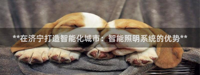 云顶国际期临沭在哪