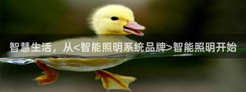 云顶国际集团游戏
