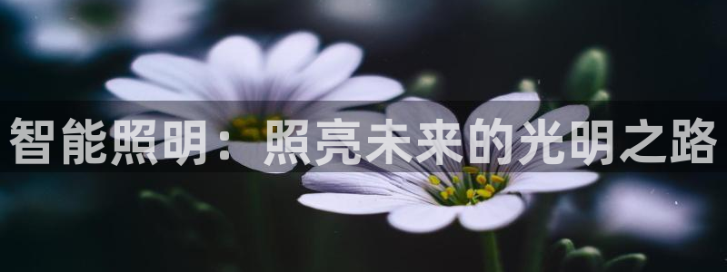 云顶国际提现失败怎么办