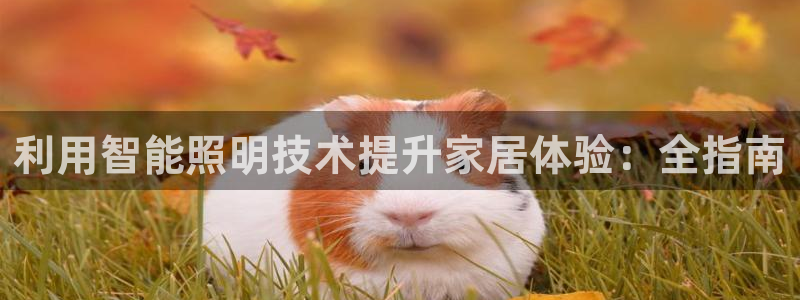 云顶集团网站安全吗