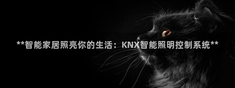 云顶集团注册送28元