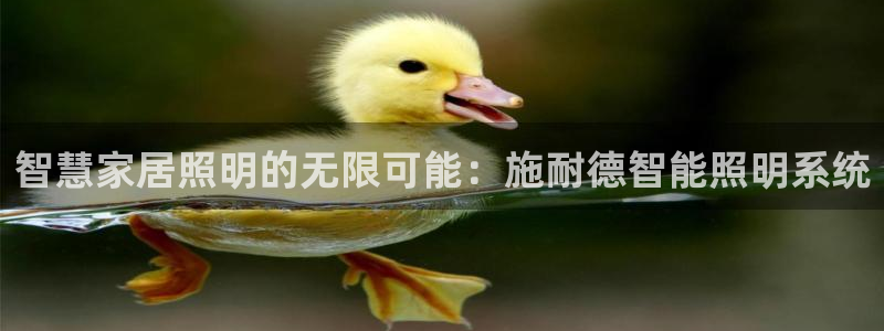 云顶高中国际部学费