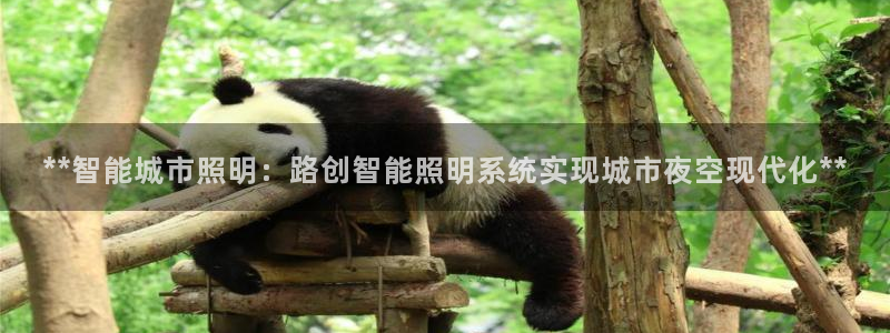 云顶国际公馆户型图