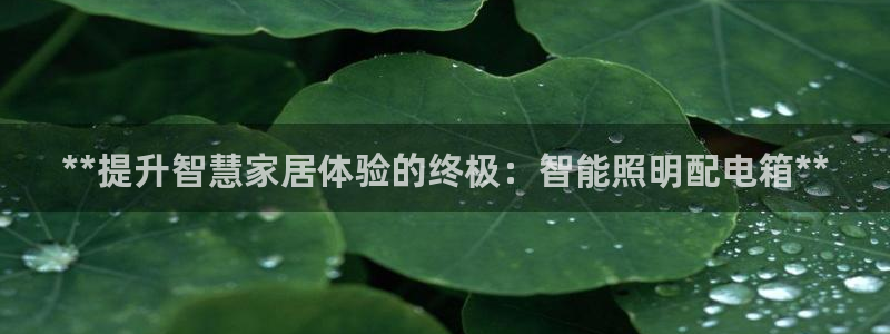 云顶国际物流官网