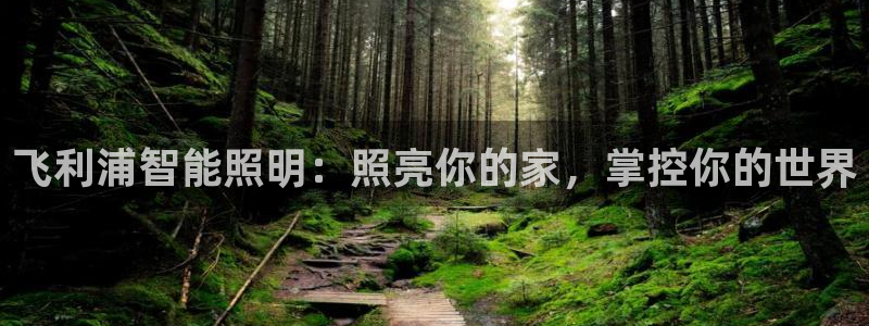 云顶集团3118app功能