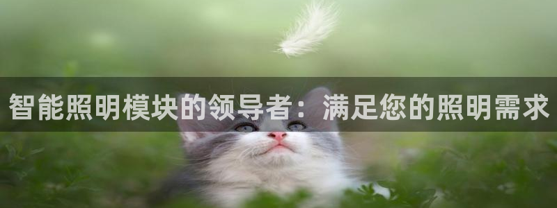 云顶国际服更新s11了吗