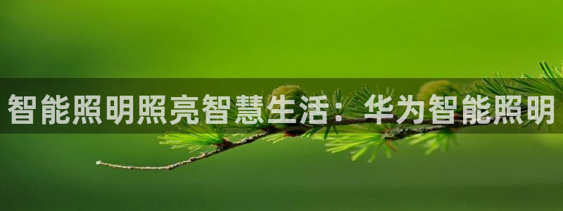 云顶集团3118acm官网