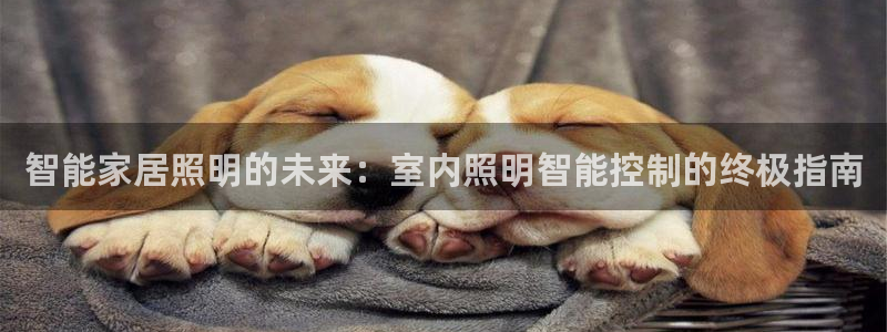 云顶国际音乐会