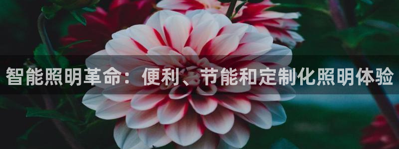 yd2333云顶电子游戏