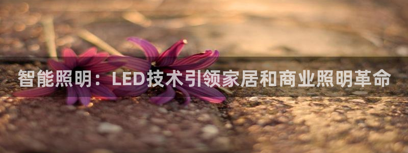 云顶集团公司