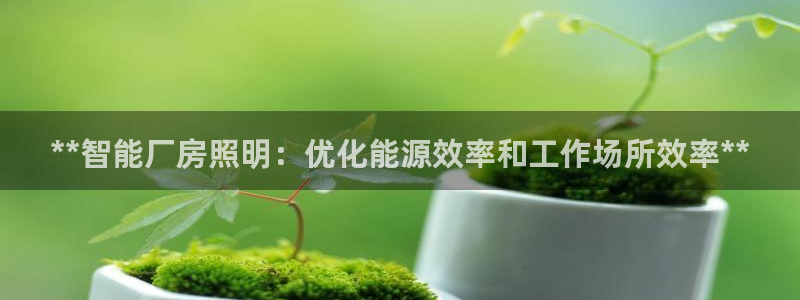 云顶国际官网唯一官方网站