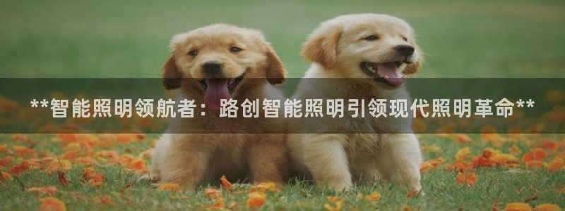 云顶国际服s9