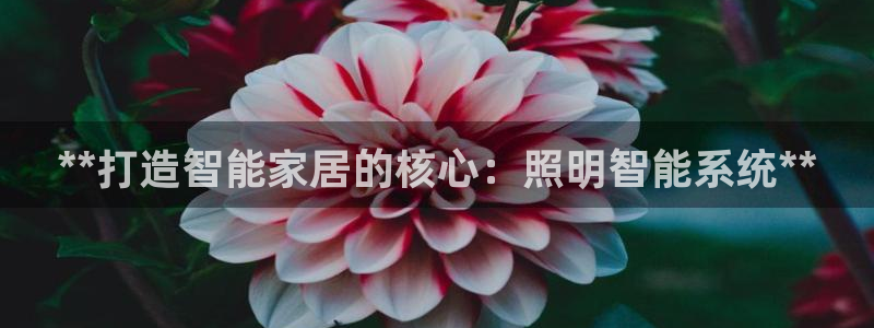 临沂云顶国际