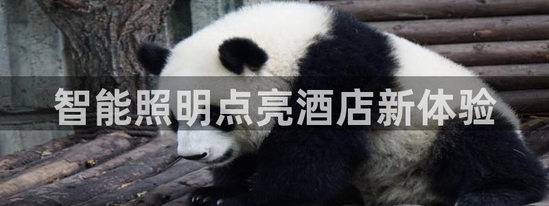 云顶集团 中国