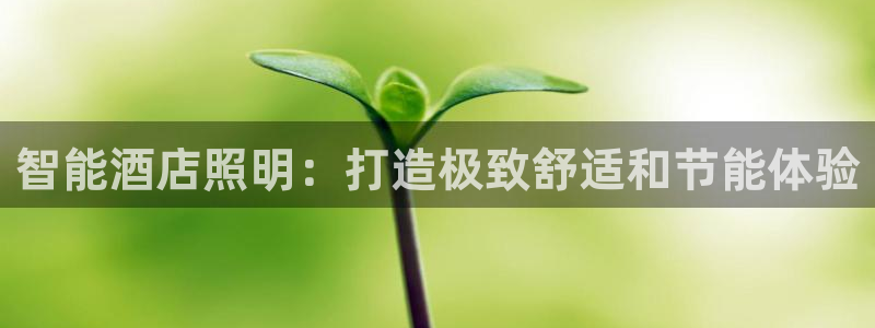 云顶国际服什么时候更新的