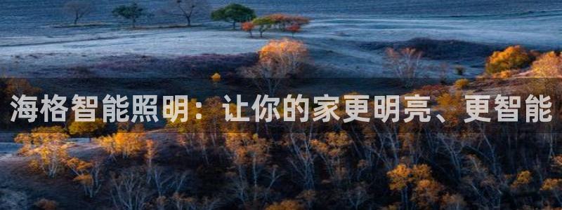 云顶集团网站多少钱一个