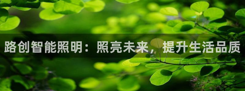 云顶国际集团app