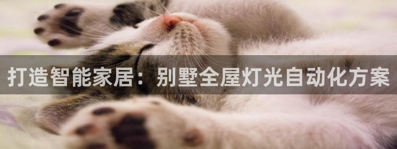 云顶小学国际班学费