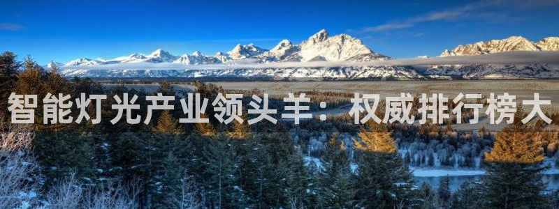 云顶国际是做什么的
