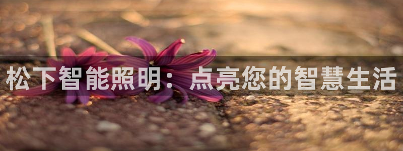 云顶集团网站安全吗