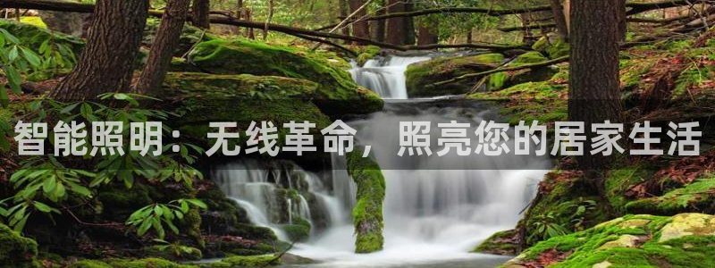 云顶集团公司官网