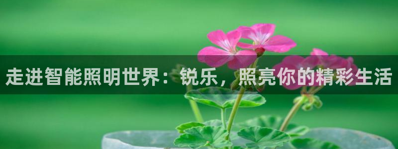 云顶国际商务会所地址