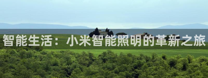 云顶国际服叫啥