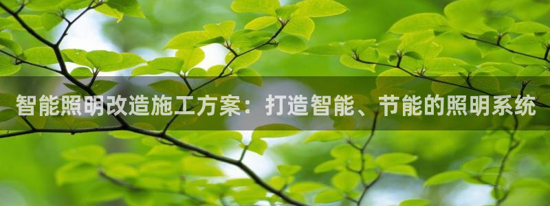 云顶国际黑网不出款怎么办