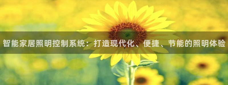 云顶手游国际服什么时候更新