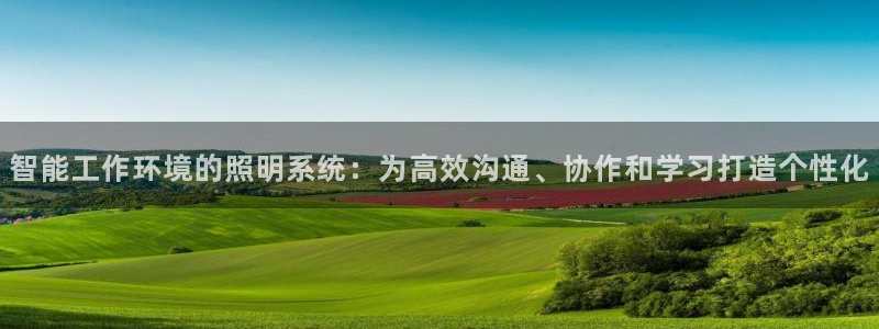 云顶国际投资有限公司