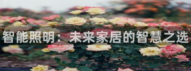 云顶集团有限公司简介资料