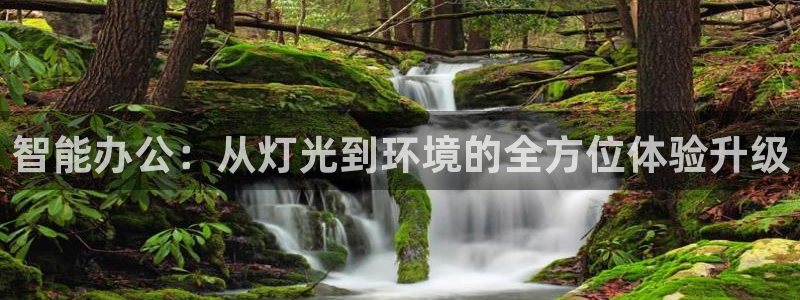 云顶国际部一年学费