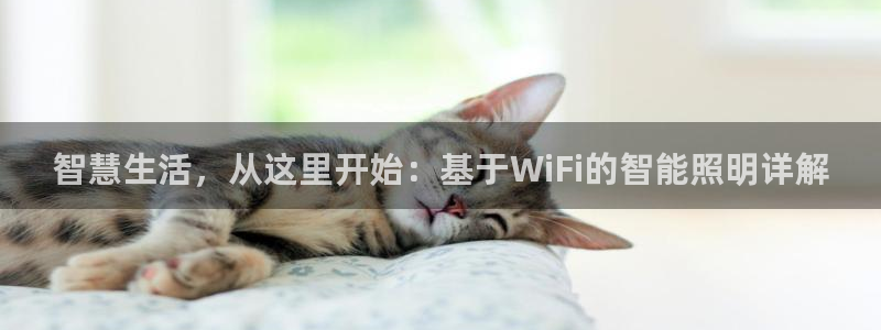 云顶国际服更新时间是多久：智慧生活，从这
