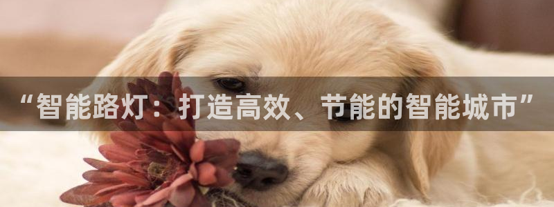云顶国际软装公司怎么样