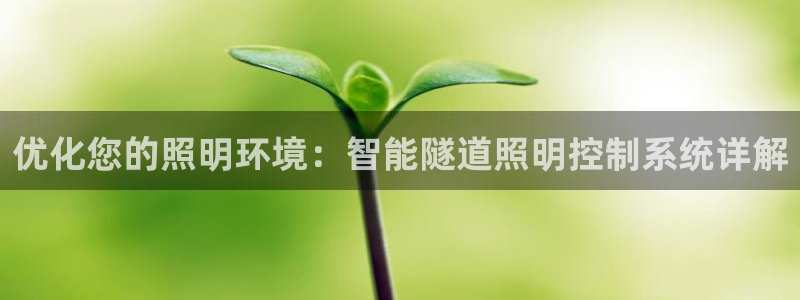 云顶最新套路2021