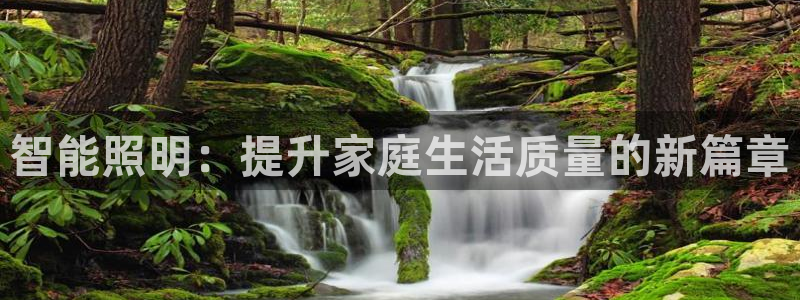 云顶集团董事长是谁