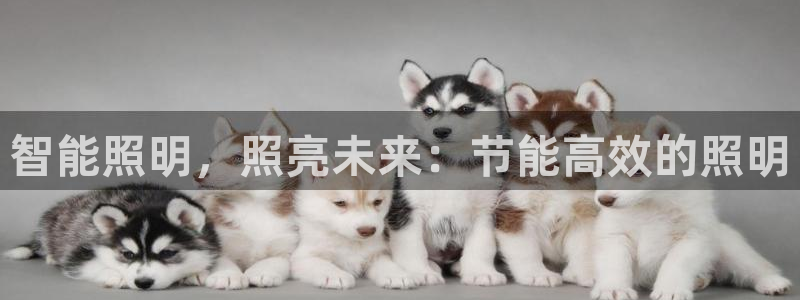 云顶国际服怎么选服务器