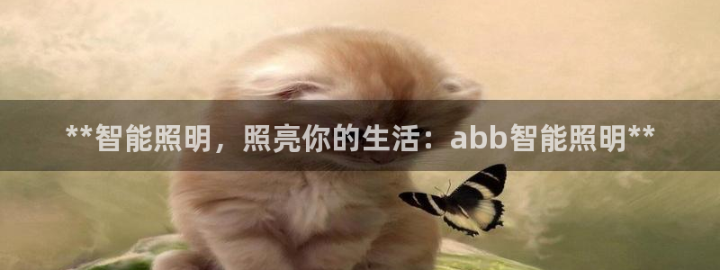 云顶国际是什么公司