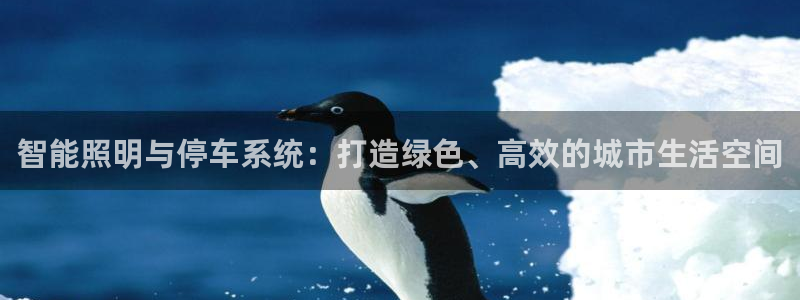 云顶国际KTV商务会所(新华街南段店)简介